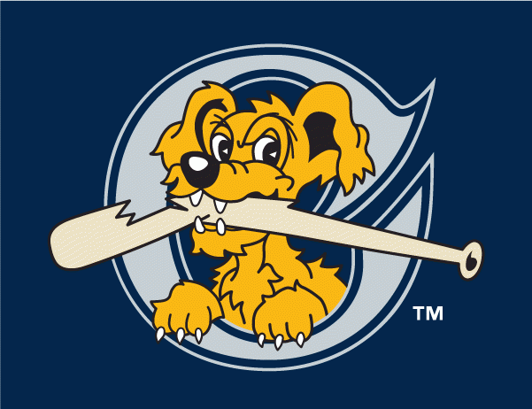 Charleston Riverdogs 2011-2015 Cap Logo decal supplier